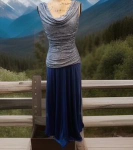 R&M RICHARDS BLUE /METALLIC SILVER  1 PC . SLEEVELESS MAXI DRESS SIZE 6 MINT - Picture 1 of 7