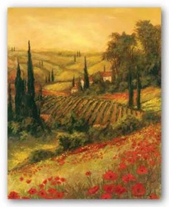 Toscano Valley II Kunst Fronckowiak Landschaft Kunstdruck 8x10 - Bild 1 von 1