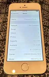 Apple iPhone 5s 16GB Gold White (Credo) A1453 Fast Ship Good Used IOS 8.1 Rare - Picture 1 of 9