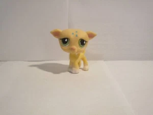 LITTLEST PET SHOP GREYHOUND DOG # 875 YELLOW GREEN EYES BLUE Raindrops - Picture 1 of 3