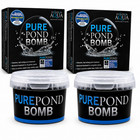 Evolution Aqua Pure Pond Bomb x2 Bacteria Treatment Clear Water Filter 40000L