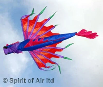 SPIRIT OF AIR Drachen Windsack