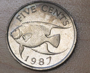 1987 Bermuda 5 Cents Blue Angelfish - Picture 1 of 2