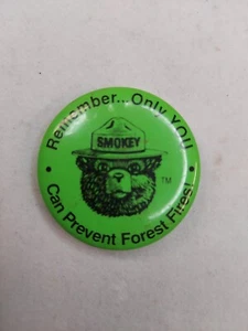 Botón de oso ahumado verde vintage recuerda solo tú puedes prevenir incendios forestales - Imagen 1 de 5