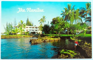 Naniloa Hotel Hilo Hawaii Postal Vintage Postal Mujer Vacaciones Tropical Palma - Imagen 1 de 2