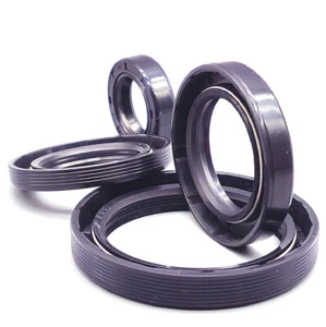 TC Oil Shaft Rotary Seal W/ Stainless Steel Spring Dbl Lip NBR Dust Seals Gasket - Picture 1 of 7