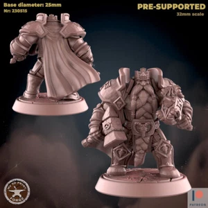 Dwarf Leaderby My3dPrintForge Dnd, Dungeon and Dragon Mini, Tabletop Miniatur - Bild 1 von 4