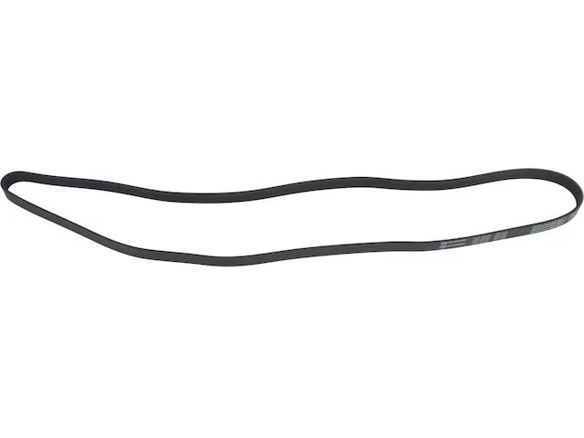 Cinturón multi costilla para Mitsubishi Galant 2004-2012 2,4 L 4 cilindros 2009 2008 2005 TW561ZN Foto 1 de 1