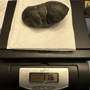11.6 oz Genuine Fossil Megalodon Meg GREAT WHITE SHARK POOP DUNG - Picture 1 of 10