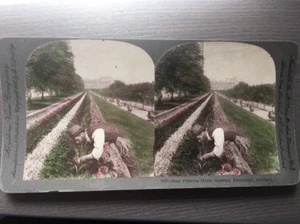 Stereo Viewing Card East Princes Street Gardens, Edinburgh, Scotland, Keystone - Picture 1 of 1