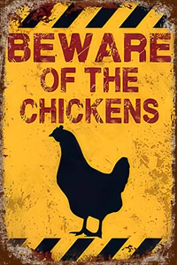 Retro Blechschild BEWARE OF THE CHICKENS 30 x 20 cm Metallschild Vintage (2797) - Bild 1 von 5