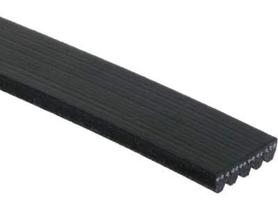 Cinturón multi costilla para Pontiac Grand Am 1990-1992 AC Delco 39648STYT Foto 1 de 2