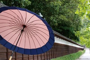 Ombrello giapponese Santos unisex 24 ossa misura 23,6 pollici tutti i 16 tipi nuovo dal Giappone - Foto 1 di 54