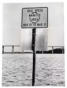 1980 Florida Waterway Boating Sign Warning Manatee Sea Cow Vintage Press Photo - Picture 1 of 3