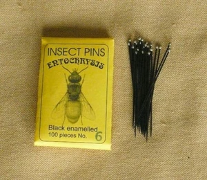 Alfileres de insectos de montaje negro Entocrisis 100 piezas talla 6 entomología insectos grandes - Imagen 1 de 1