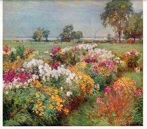 Vintage Floral Print Field of Flowers Keramic | Palette Bench 1909 botanical art - Picture 1 of 3