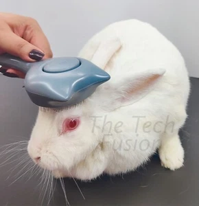 Pet Dog Cat Rabbit Grooming Self Cleaning Slicker Brush Set of 1 Comb &1 Brush - Picture 1 of 12