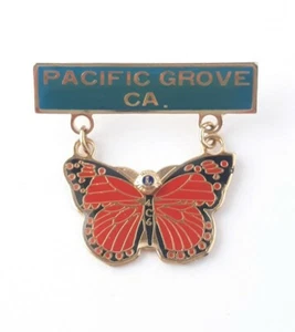 Vintage Lions Club Pacific Grove CA 4C6 Butterfly Lapel Pin Brooch Pinback NIP - Picture 1 of 3