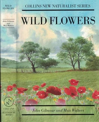 Wild Flowers, Gilmour, John - Image 1 of 2