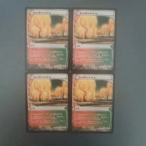 MTG Burning Willow Grove FUT Japanese 4-Disc Set - Picture 1 of 1