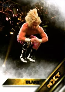 2016 Topps WWE Then Now Forever NXT Prospects #5 Blake - Picture 1 of 2
