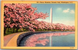 Postal de lino vintage B36 Cherry Blossoms Potomac Park Washington DC 1948 - Imagen 1 de 2