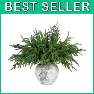 Waterproof Norfolk Pine Branches for Home Decor - Picture 1 of 8