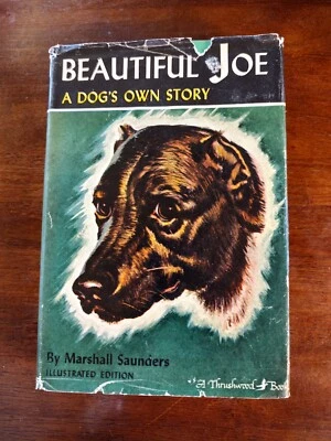 Beautiful Joe by Marshall Saunders Illustrated Edition Book is in Excellent Cond - Imagem 1 de 4