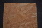 Chestnut Burl Raw Wood Veneer Sheet 11 x 14 inches 1/42nd thick      J7681-43