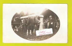 RP Horses Welbeck Show 1910 Duke of Portland & Duchess Boy Pins Rosette !! - Picture 1 of 4