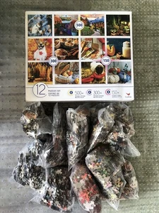 Multi 12 Puzzles Set 3800 Total Puzzleteile 2021 Spin Master LTD - Bild 1 von 2