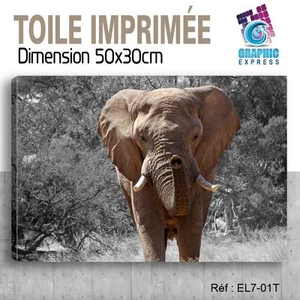 50x30cm - Stoff Bedruckte- Bild Plakat Deko - Elefant Felin - EL7-01T - Bild 1 von 1