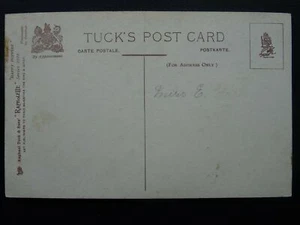 Postal Dog & Cat HAPPY PUPPIES - C1908 de Raphael Tuck 8072 - Imagen 1 de 1