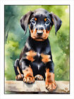 Doberman Pinscher Puppy Print, Poster, Dog Wall Art, Animal Decor