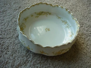 ANTIGUO TAZÓN DE SERVICIO HAVILAND/ ""THE VENITIA""/SCHLEIGER 51A/ 1888-1896/EXCELENTE - Imagen 1 de 7