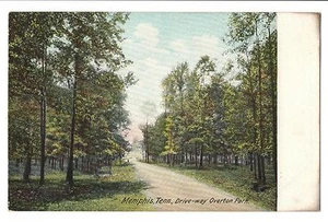 Vintage Postcard Memphis Tennessee Overton Park Driveway UDB Undivided Back - Picture 1 of 4