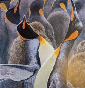 Robert Bateman KING PENGUINS Vintage Wildlife Book Plate Art Print 45 - Picture 1 of 4