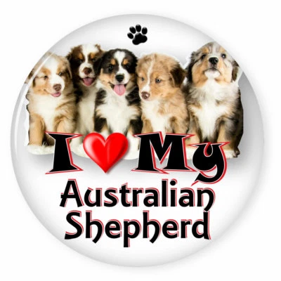 ABC BADGES AND BUTTONS I LOVE MY AUSTRALIAN SHEPHERD DOG PUPPY 3" PIN BACK BUTTON