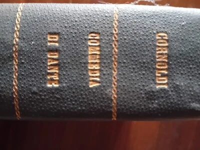 Dante LA DIVINA COMMEDIA col commento di G. M. Cornoldi - 1887 - Immagine 1 di 4