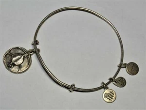Vtg 2016 Alex & Ani Silberfarben Lang Rund Anhänger Aldex Erweiterbares Armband - Bild 1 von 2