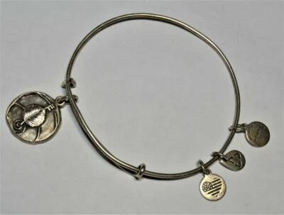 Vtg 2016 Alex & Ani Silberfarben Lang Rund Anhänger Aldex Erweiterbares Armband - Bild 1 von 2
