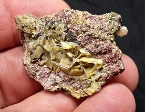 41mm WULFENITE from Chihuahua, Mexico - Picture 1 of 6