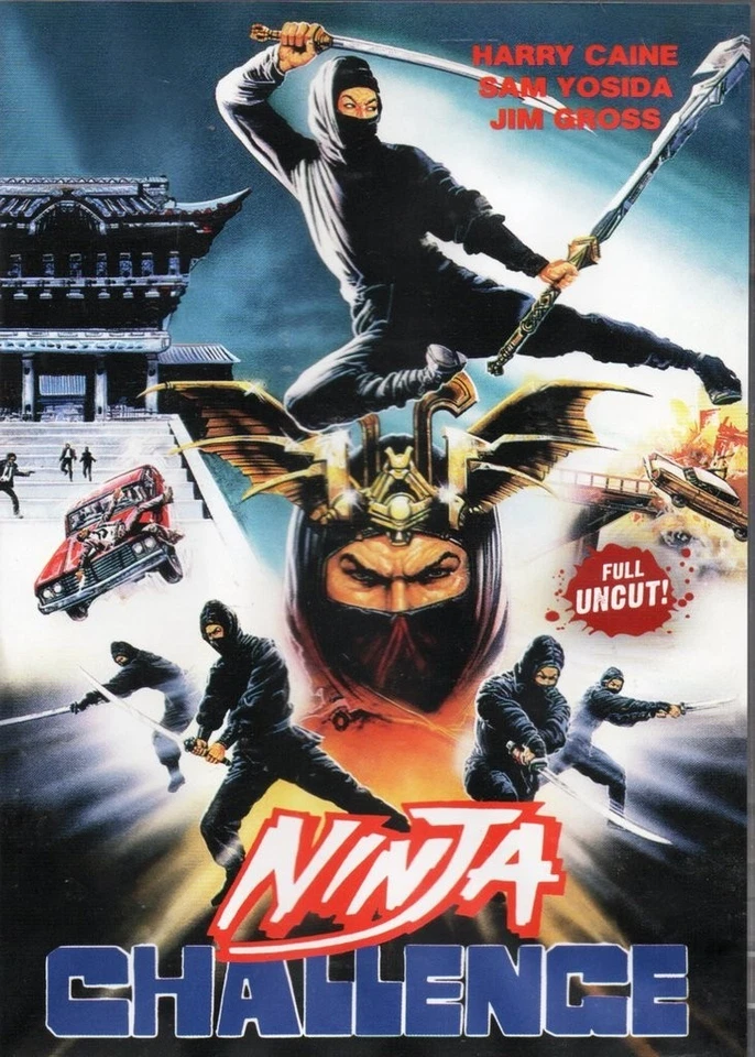 NINJA CHALLENGE - DVD - - Image 1 of 2