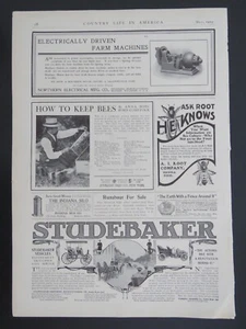 Litografía Studebaker 1905 blanco y negro 9x13 anuncios de automóviles y aves de corral 2 caras - Imagen 1 de 2