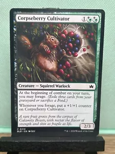 MTG TCG: Corpseberry Cultivator 210, Bloomburrow - Picture 1 of 1