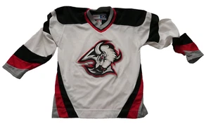 NHL BUFFALO SABRES ICE HOCKEY SHIRT JERSEY CCM SIZE M - Picture 1 of 8