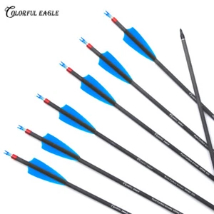 Flechas de carbono de tiro con arco 28" 30" 31" SP300 400 puntas arco compuesto recurvo caza - Imagen 1 de 9