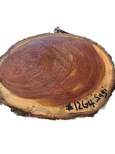 1264 Sugi(Japanese pine tree) WOOD CARVING,PEN BLANKS,SCALES,BOWLS, - Picture 1 of 4