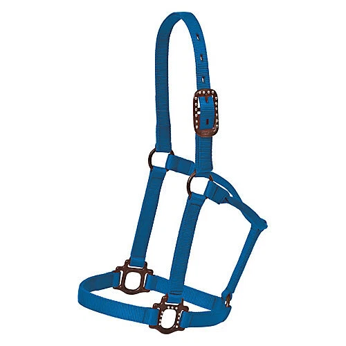 Soporte de punto antiguo Mustang Foto 1 de 1