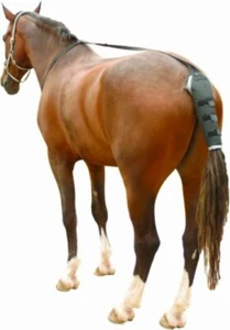 Kentaur Schweifschoner